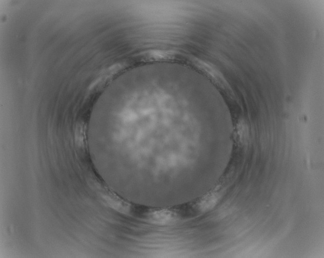 X0000073930423200609011839