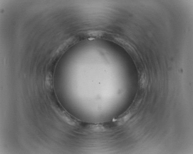 X0000073930424200609011839