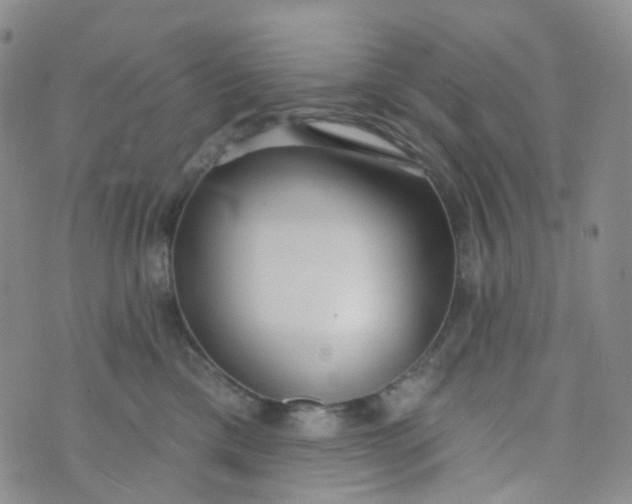 X0000073930425200609011839