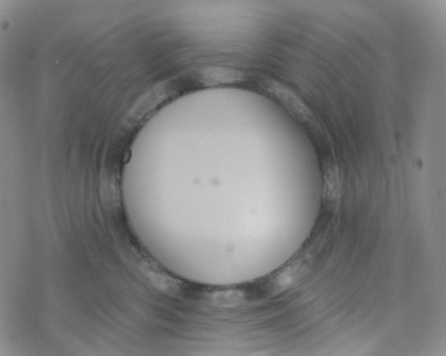 X0000073930426200609011839