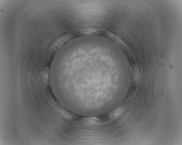 X0000073930427200609011839