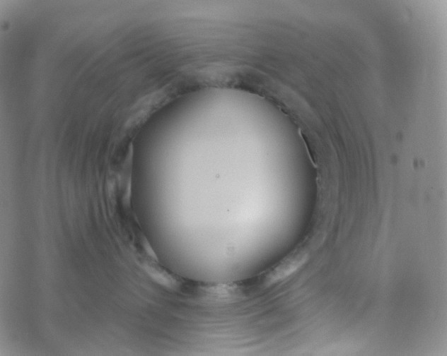 X0000073930432200609011839