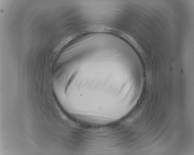 X0000073930433200609011838