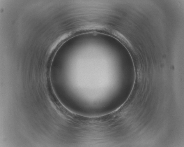 X0000073930436200609011838