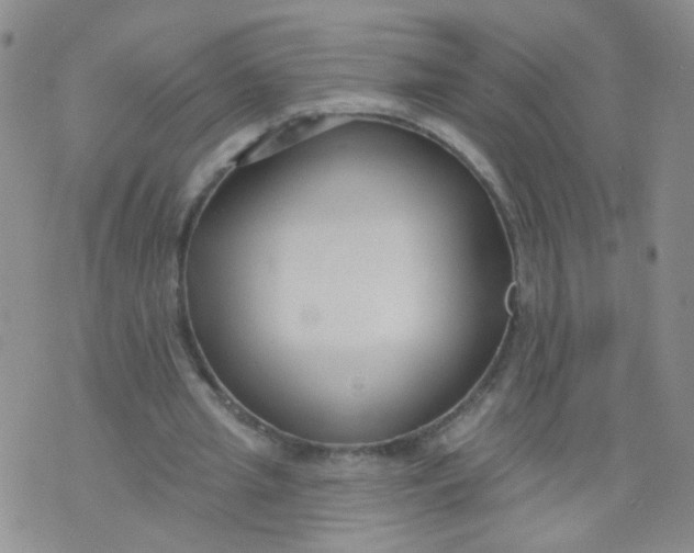 X0000073930437200609011838