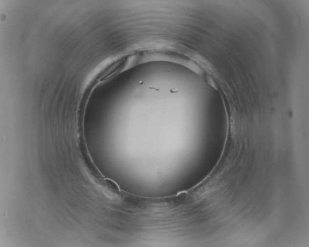 X0000073930438200609011838