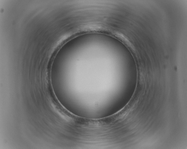 X0000073930439200609011838