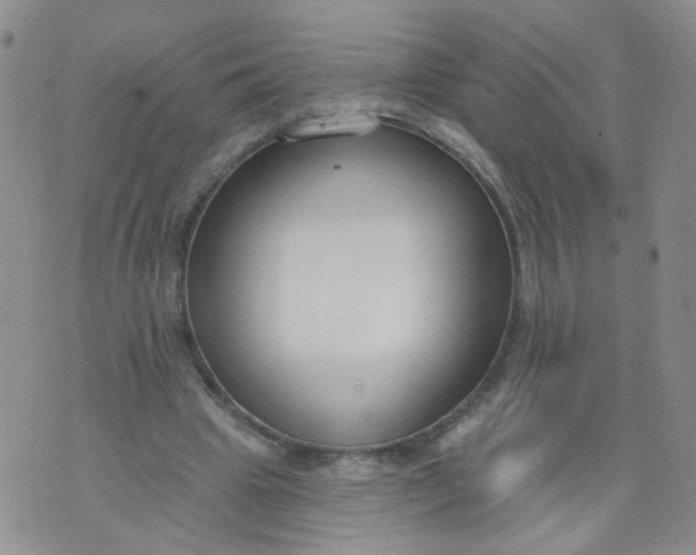 X0000073930441200609011838