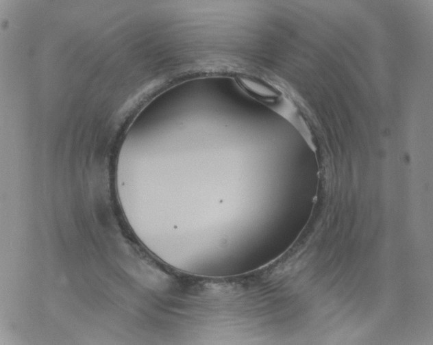 X0000073930442200609011838