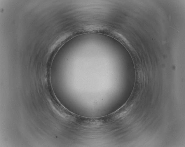 X0000073930443200609011838