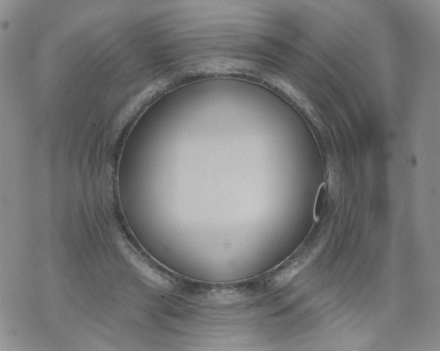 X0000073930445200609011838