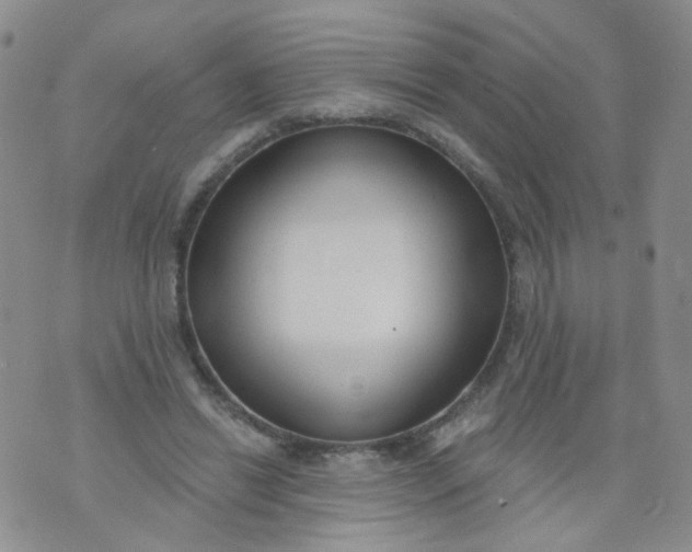 X0000073930446200609011838