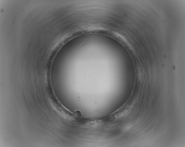 X0000073930447200609011838