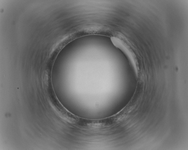 X0000073930448200609011838