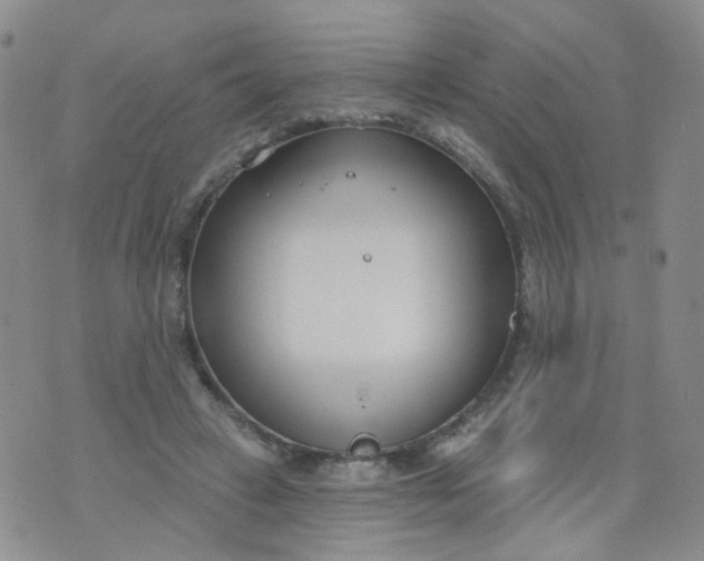 X0000073930449200609011838