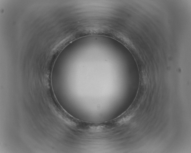 X0000073930450200609011838