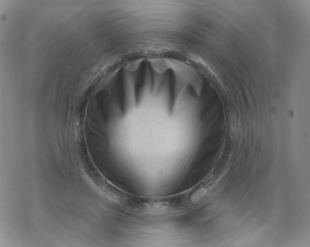 X0000073930451200609011838