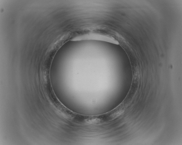 X0000073930452200609011838