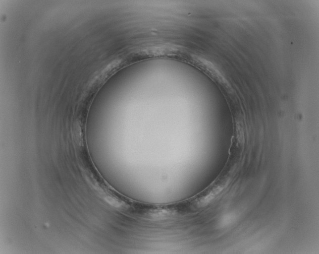 X0000073930453200609011838