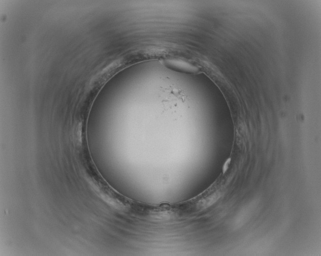 X0000073930454200609011838