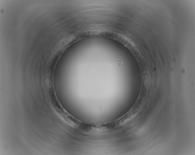 X0000073930455200609011838