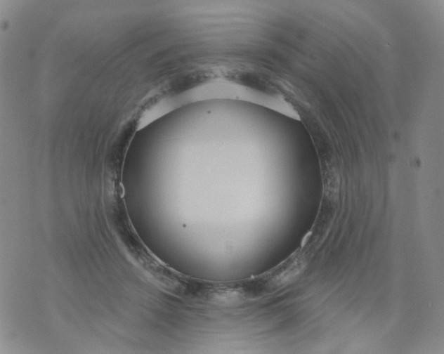 X0000073930456200609011838