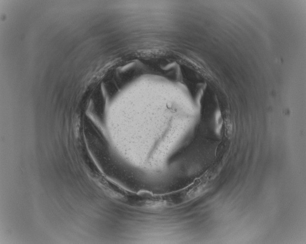 X0000073930458200609011838