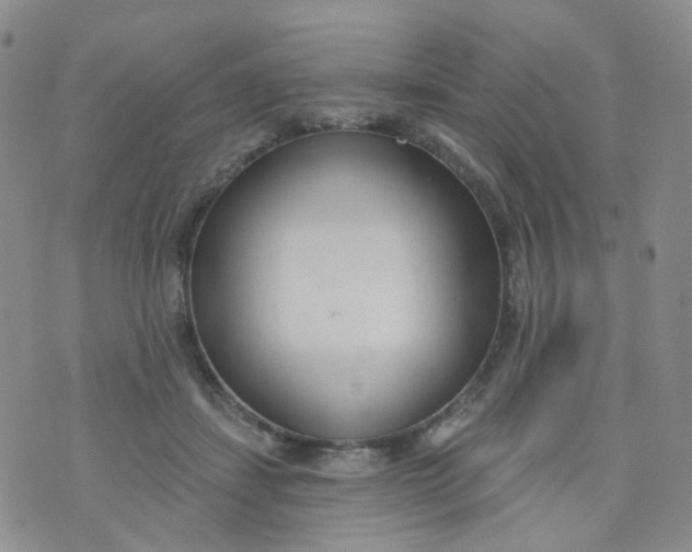 X0000073930459200609011838