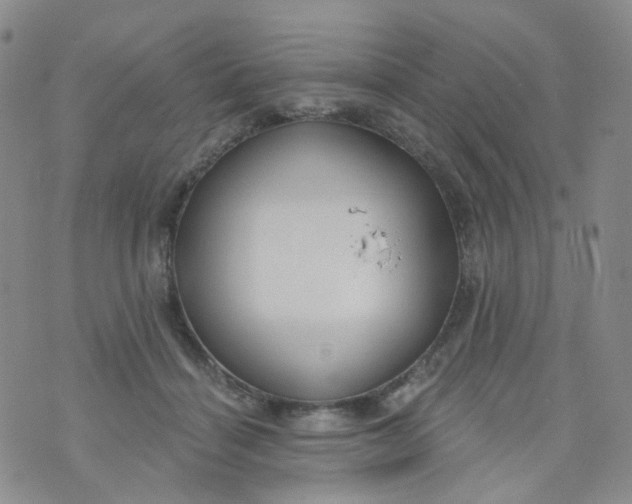 X0000073930460200609011838