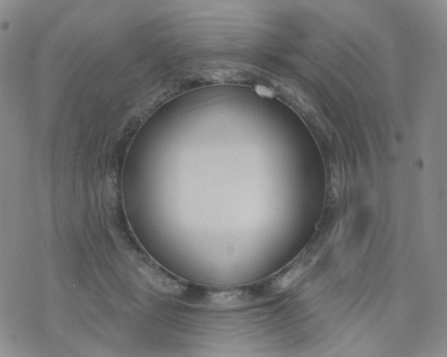 X0000073930461200609011839