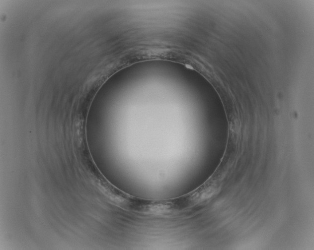 X0000073930462200609011839