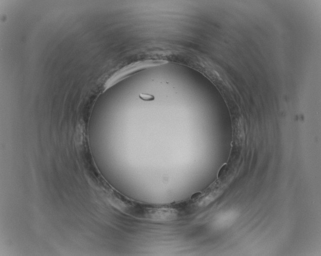 X0000073930463200609011839