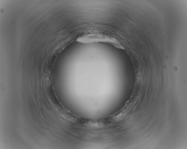 X0000073930464200609011839