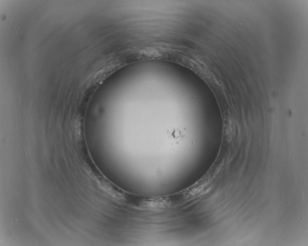 X0000073930466200609011839