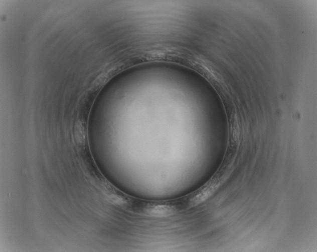 X0000073930467200609011839