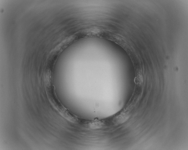 X0000073930468200609011839