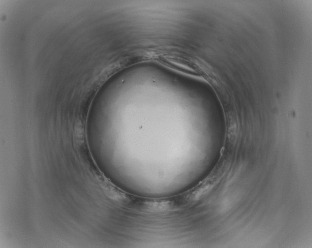 X0000073930469200609011839