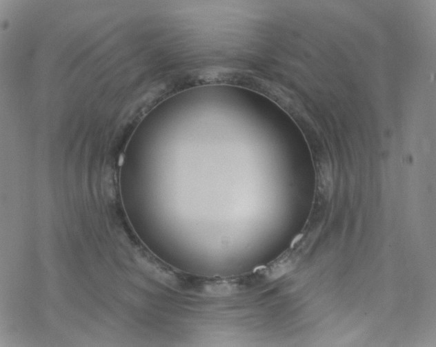 X0000073930470200609011839