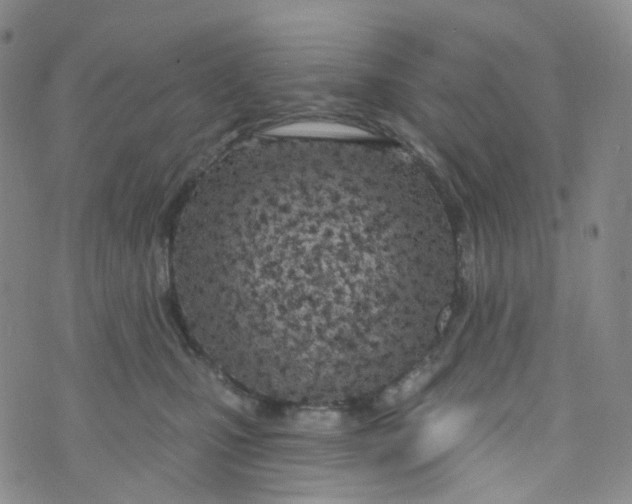 X0000073930471200609011839