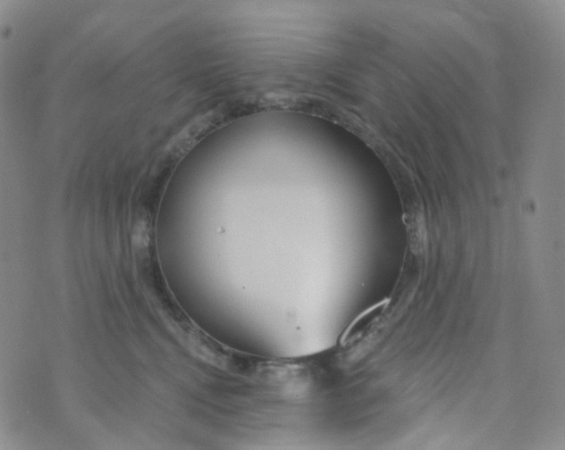 X0000073930472200609011839