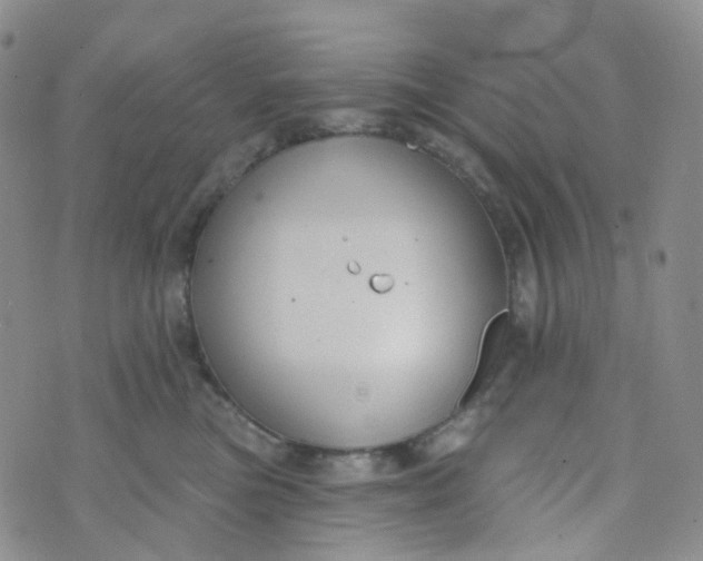 X0000073930473200609011839