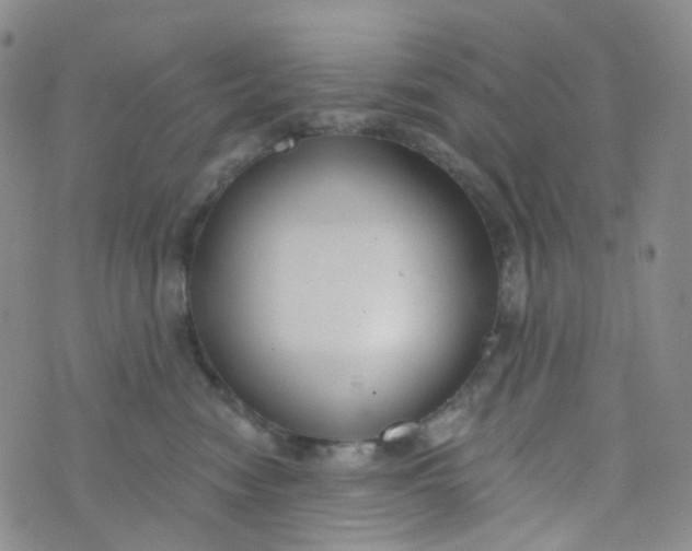 X0000073930474200609011839