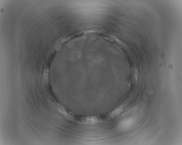 X0000073930475200609011839