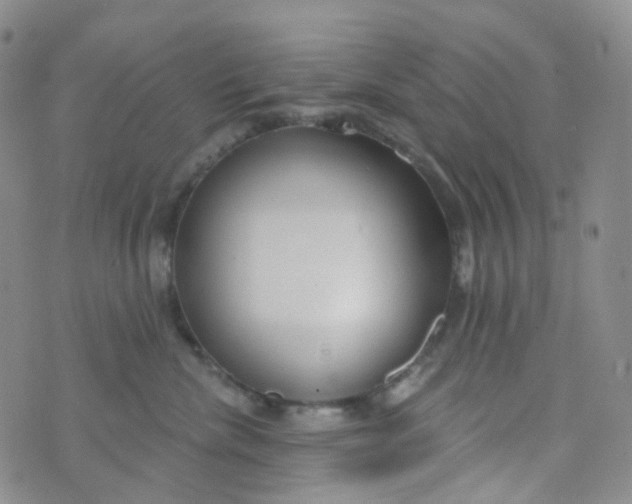 X0000073930476200609011839