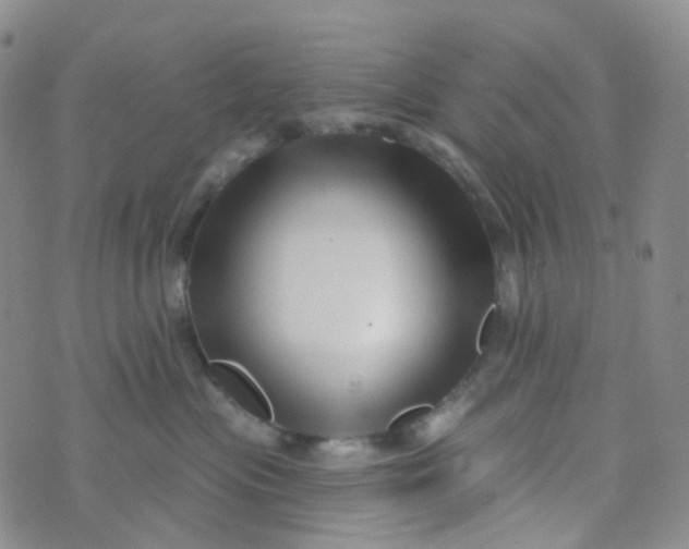 X0000073930477200609011839