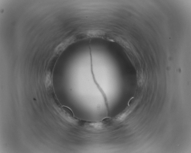 X0000073930478200609011839