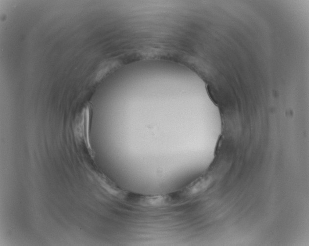 X0000073930479200609011839