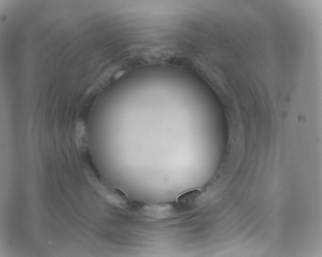 X0000073930480200609011839