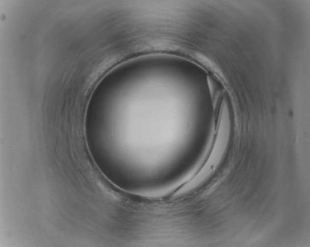 X0000073930481200609011838