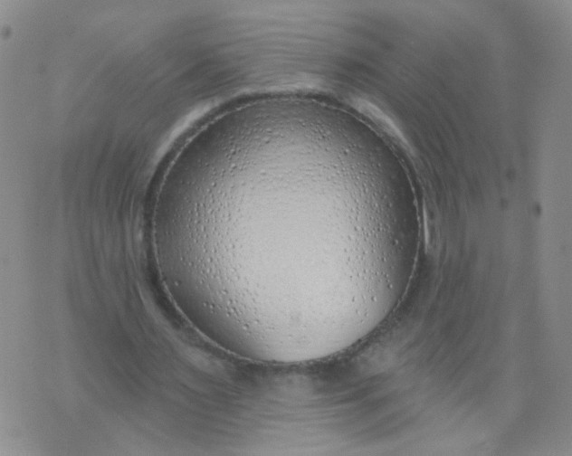 X0000073930483200609011838